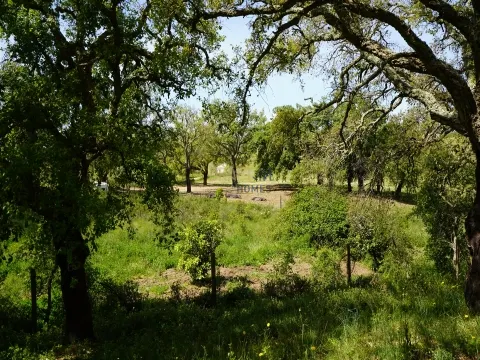 Terreno rústico en la costa del Alentejo.