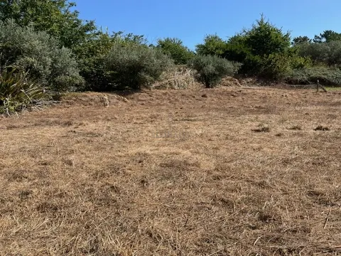 Участок земли