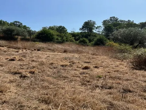 Участок земли