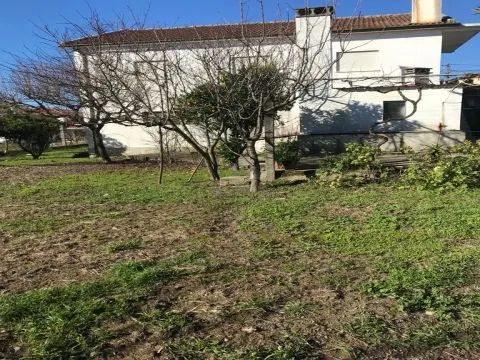 Moradia Isolada, a 5 minutos do centro de Viseu.