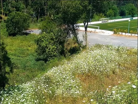 Terreno Para Construção com 2.400 m² - 4 Frentes | Azurara, Vila do Conde
