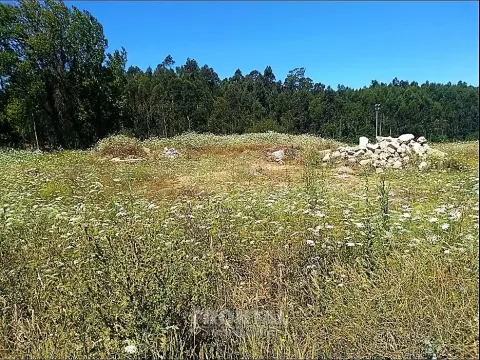 Terreno Para Construção com 2.400 m² - 4 Frentes | Azurara, Vila do Conde