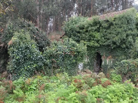 独立屋恢复 2个房间