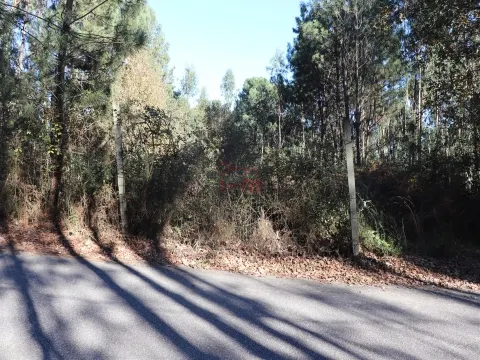 Piece of Real Estate