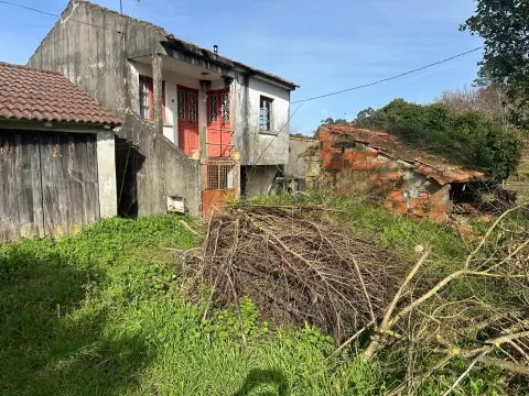 img_9