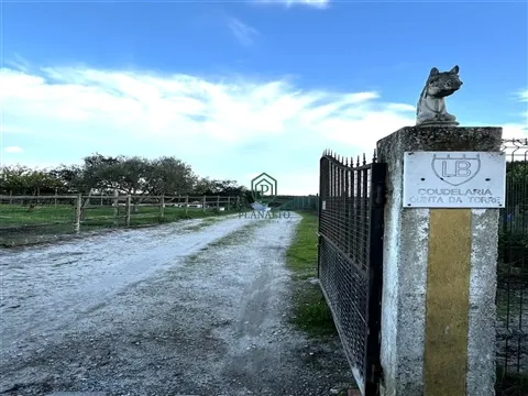 Quinta