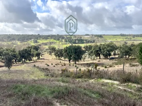 农场 >= 10个房间