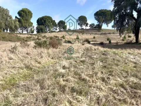 农场 >= 10个房间