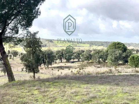 农场 >= 10个房间