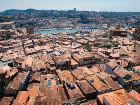 img_19