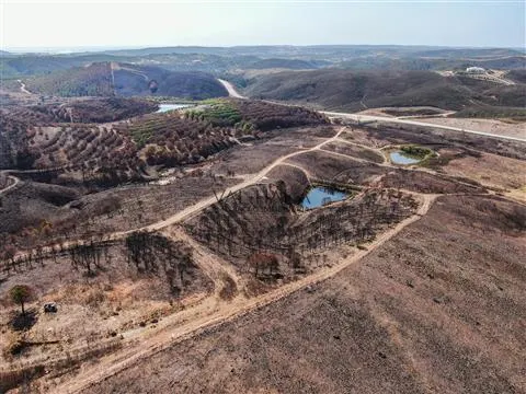 Terrain rustique à restaurer, Almarjões, Mexilhoeira Grande, Portimão