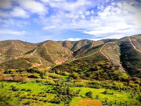 Gemischte Parzelle in Alferce, Monchique, Algarve