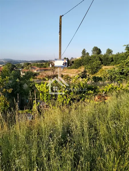 Land - Meinedo Lousada