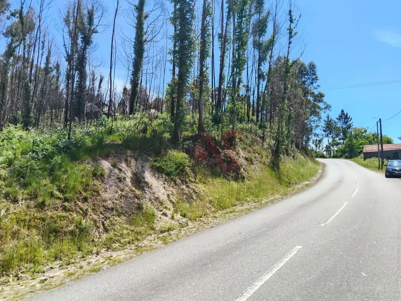 Rustic land with 15,064.30 m² in Seidões, Fafe