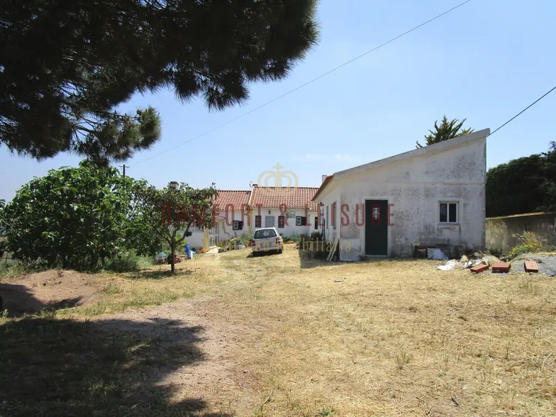 Quinta con 2.8ha bien situada a 7 minutos de la Ciudad de Torres Vedras