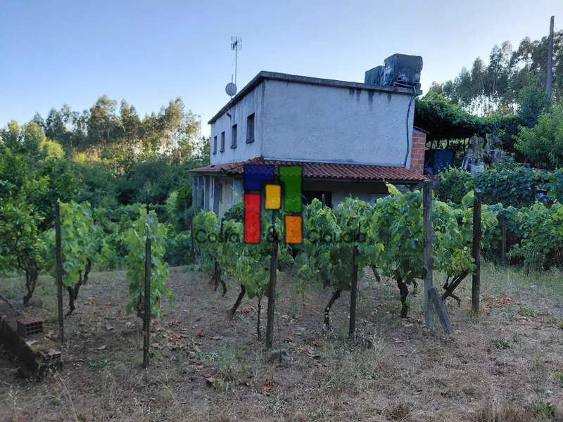 Farm T3