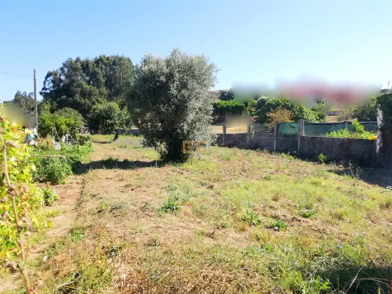 Terreno per Costruzione