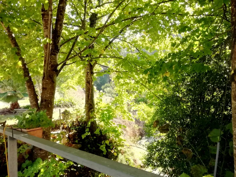 Boerderij 5 kamerwoning