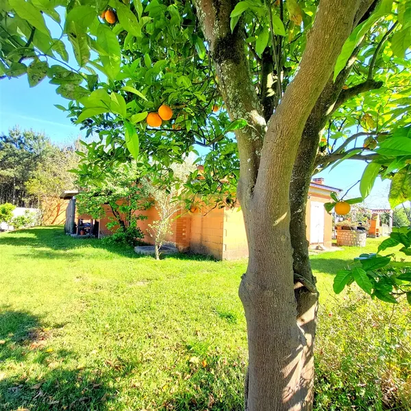 Частный дом T3