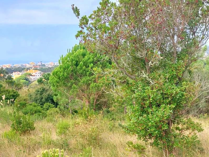 Urban land, with sea views - in Buarcos!