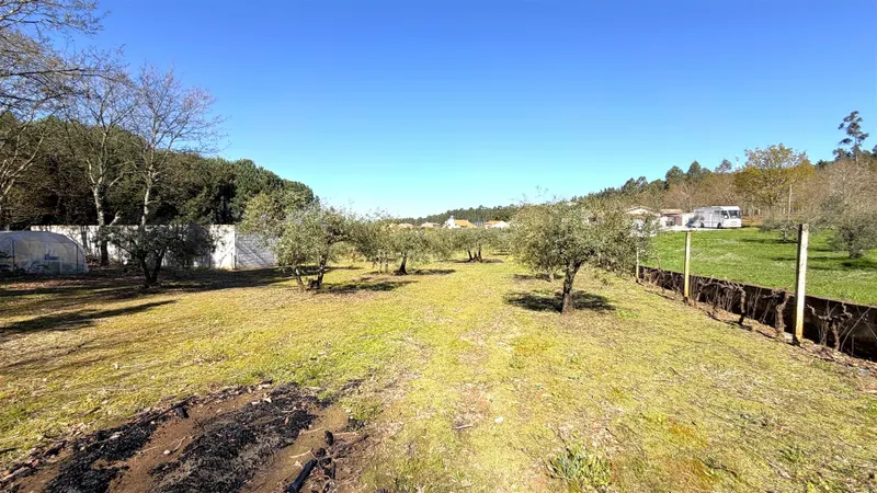 Terreno Urbano