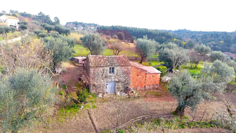 Terrain rural Studio