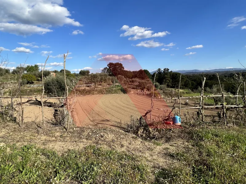 Terrain rural Studio