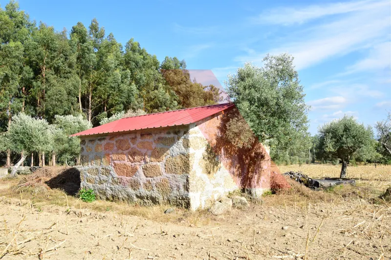 Terrain rural