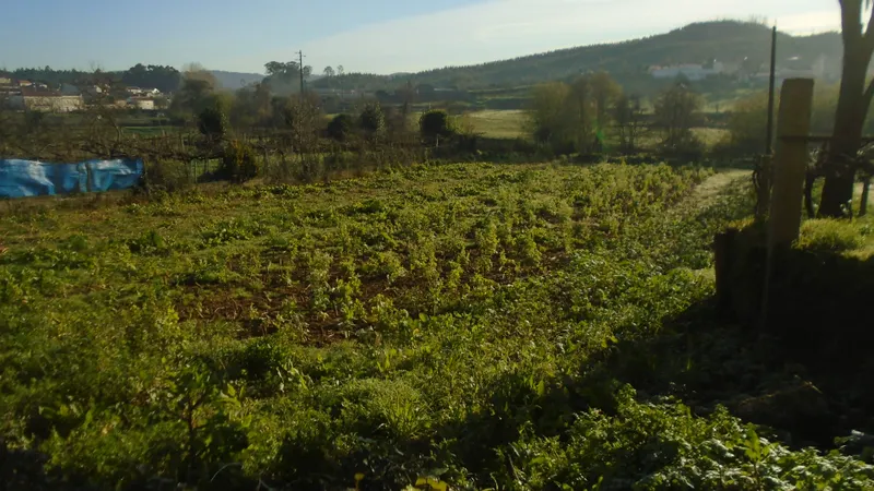 Terreno para Construção – 1 787,50 m² | Alfena, Valongo
