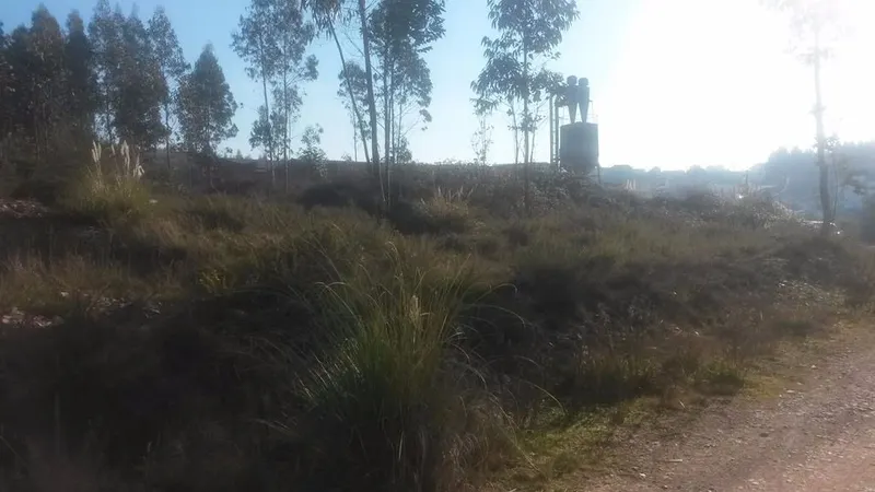 Terreno com 8.000 m² | São Romão Do Coronado, Trofa