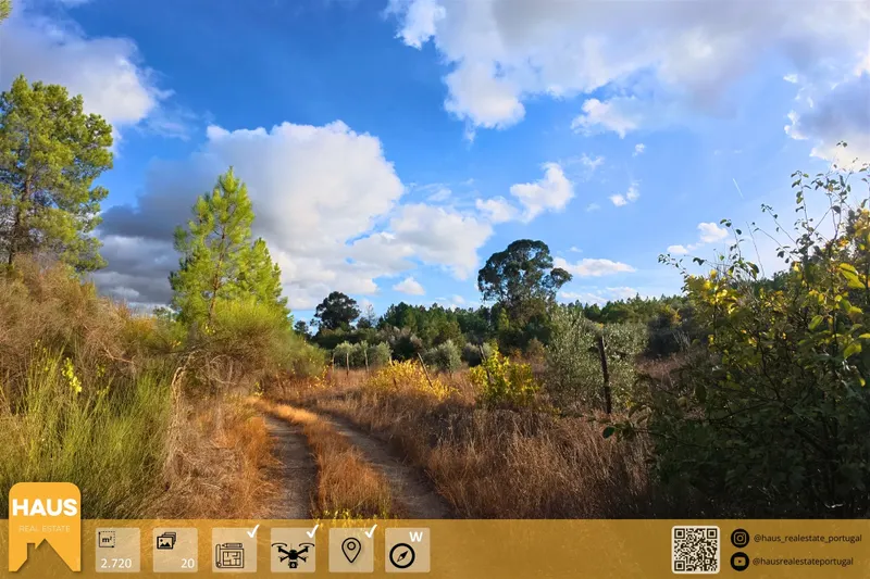 Terrain Rustique de 2 700 m² – Murs en Granit, Arbres Fruitiers