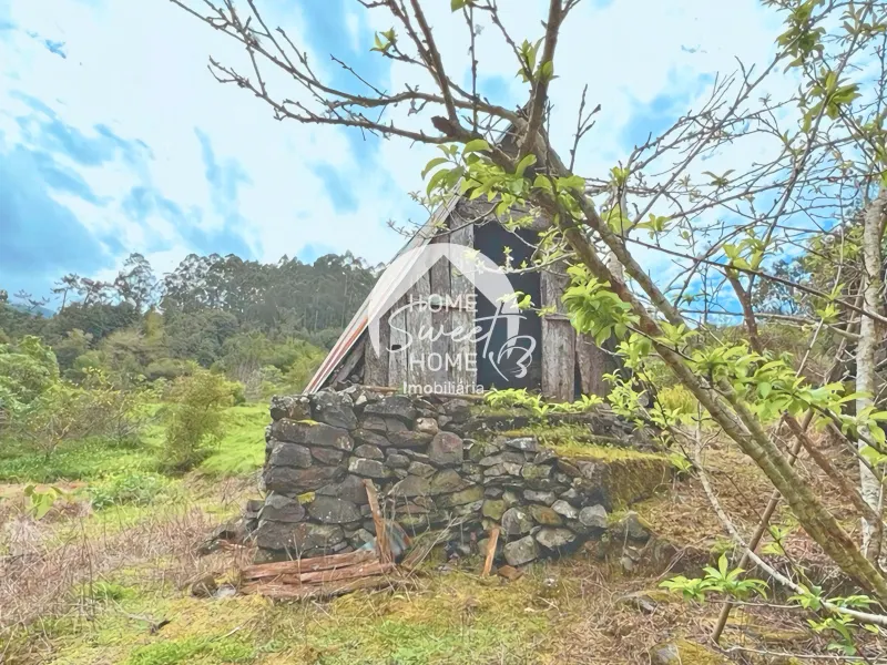 Moradia + 2 Palheiros com uma área total de 3070m2