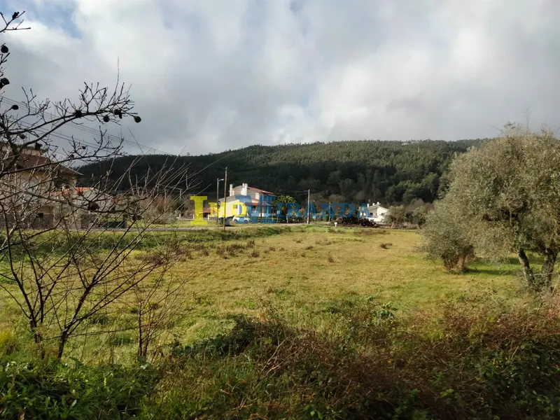 Real Estate building