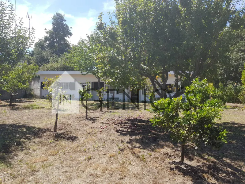 &#1044;&#1086;&#1084; &#1058;7