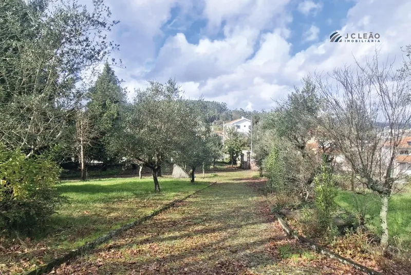 Vivienda 5 habitaciones