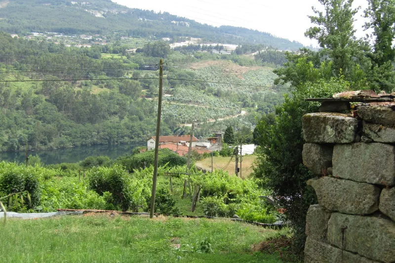 Quinta com projeto aprovado, Praia Fluvial de Boelhe - Penafiel, 500m do Rio Tâmega