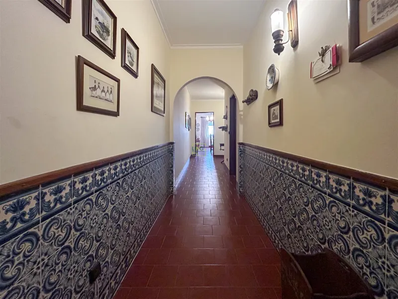 Appartement 3 Chambre(s)+1