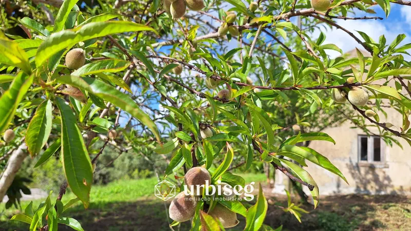 Moradia para Reconstrução &#124; Serra das Alhadas