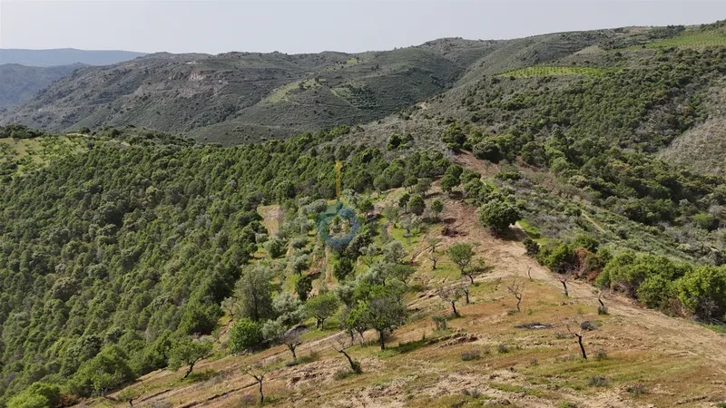 Rustico Terreno