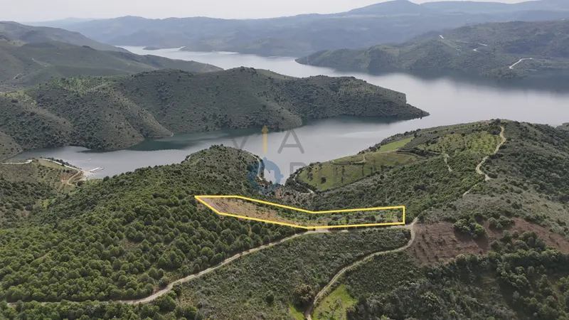 Rustico Terreno