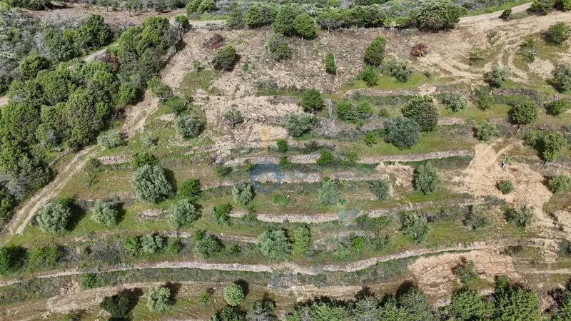 Rustico Terreno