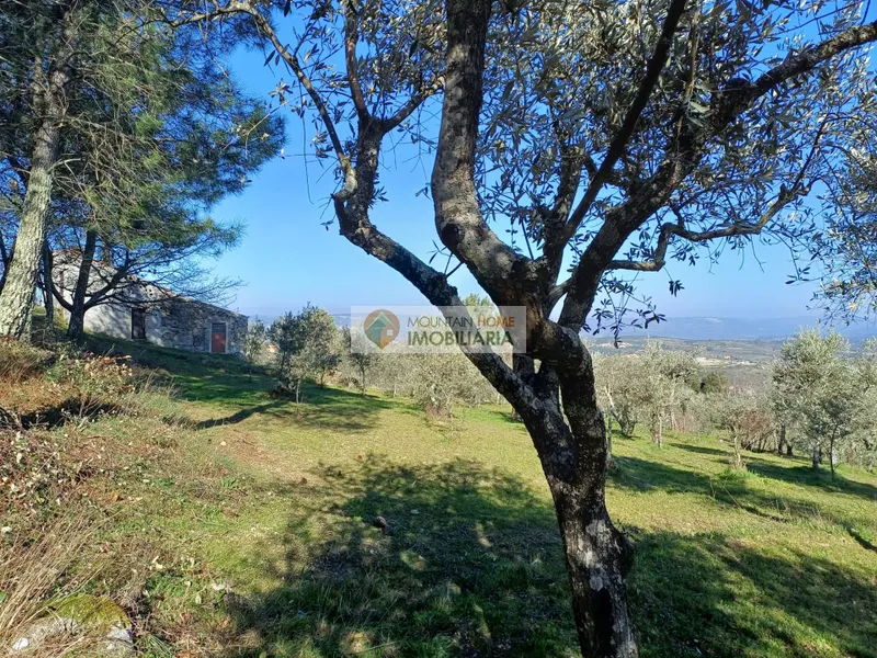 Piccola Fattoria 2 Vani