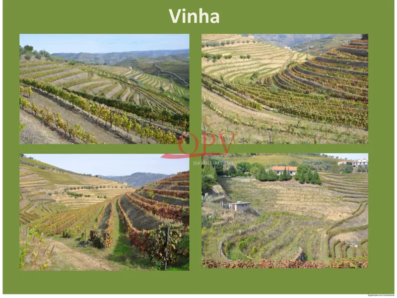 Fattoria / Cascina / Casale 4 Vani