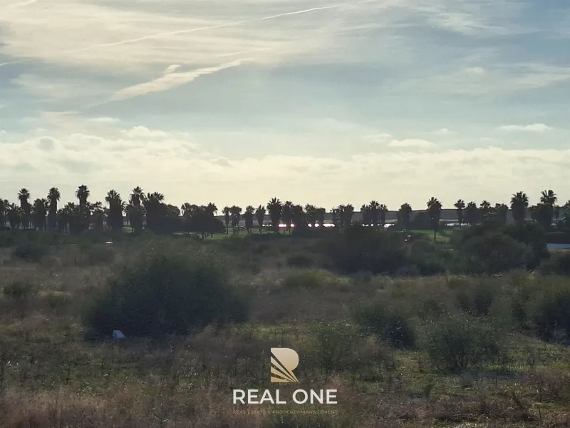 Land near Salgados, Galé, Vale Rabelho
