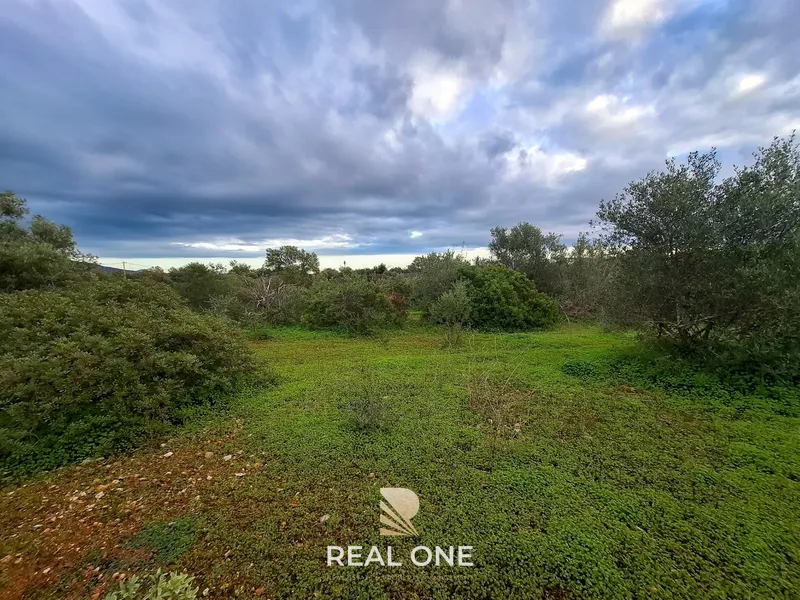 Terreno Misto com projeto aprovado para armazém - 1.100 m2