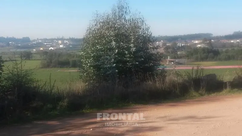 Terreno com 8.000 m² | São Romão Do Coronado, Trofa