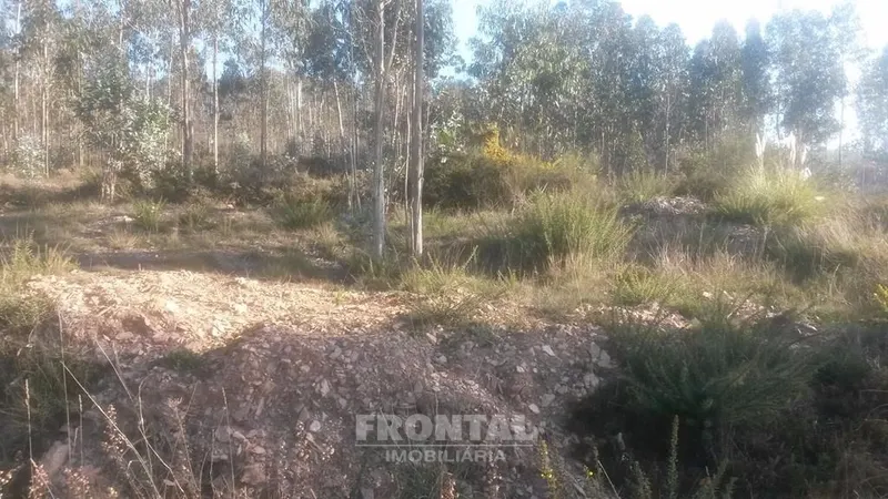 Terreno com 8.000 m² | São Romão Do Coronado, Trofa