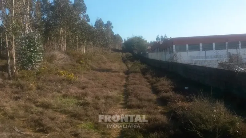 Terreno com 8.000 m² | São Romão Do Coronado, Trofa