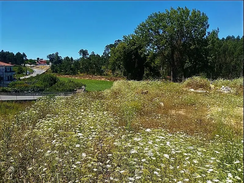 Terreno Para Construção com 2.400 m² - 4 Frentes &#124; Azurara, Vila do Conde