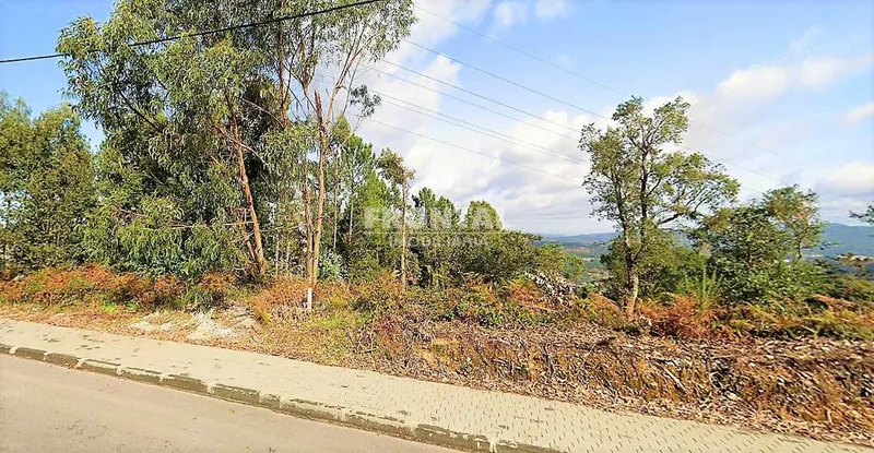 Terreno com 2 900 m2 em Crestuma